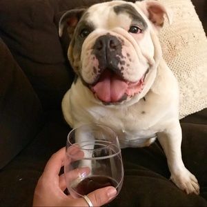 Meet your Posher, Kelsey